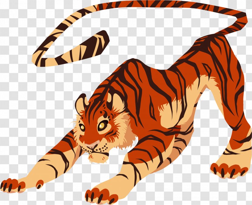 Siberian Tiger Bengal Cat Felidae Mammal Transparent PNG