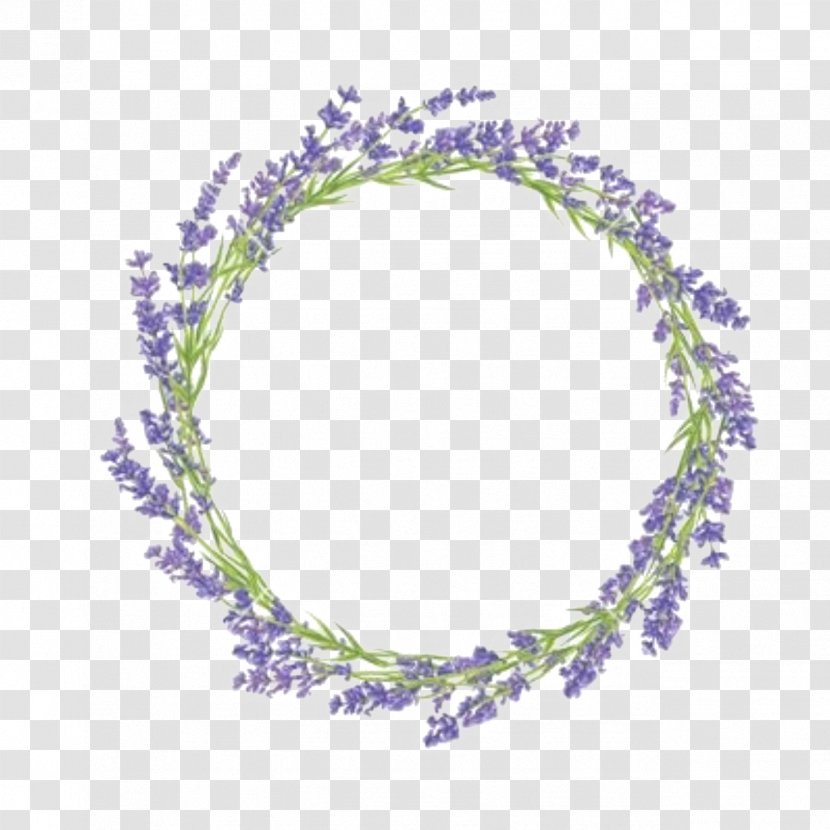 Vector Graphics Clip Art Lavender Illustration Flower Transparent PNG