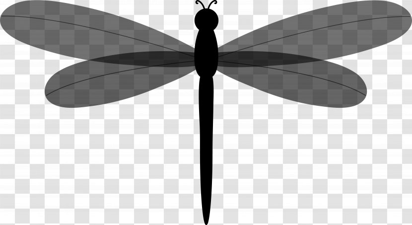 Insect Line Symmetry Graphics Product Design - Wing - Damselfly Transparent PNG