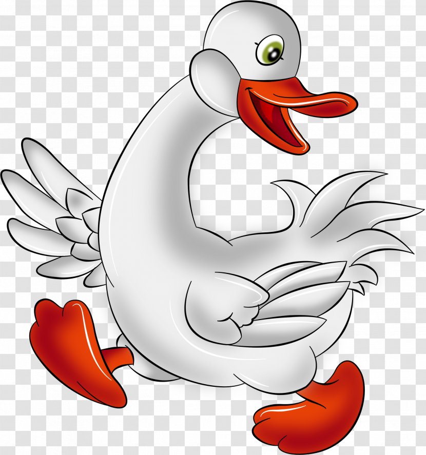 Anser Gray Wolf Bird Goose Duck Transparent PNG