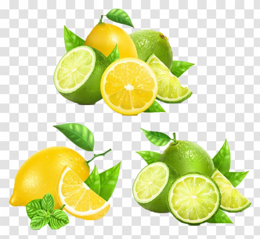 Juice Lemon Tangerine Grapefruit - Fruit - Fresh Transparent PNG