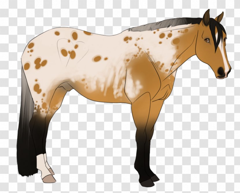 Mustang Mane Mare Foal Stallion - Horse Like Mammal - Polka Dot Pants Love Transparent PNG