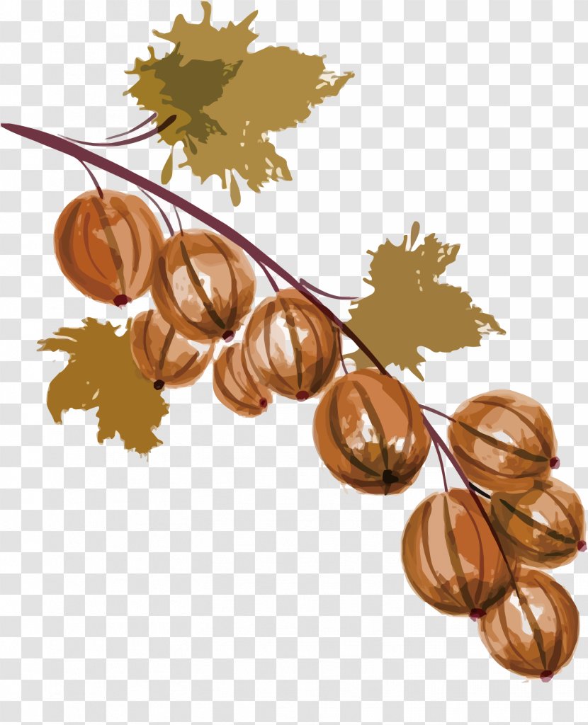 Auglis Watercolor Painting Grape - Cartoon - The Fruit Of Autumn Transparent PNG