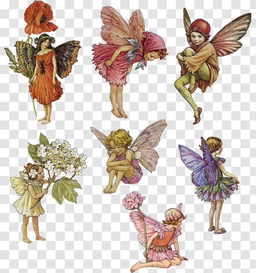 Fairy Elf Dryad Nymph Flower Fairies - Figurine Transparent PNG