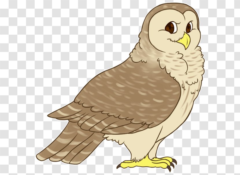 Bald Eagle Owl Hawk Beak Clip Art - Feather - Barred Transparent PNG