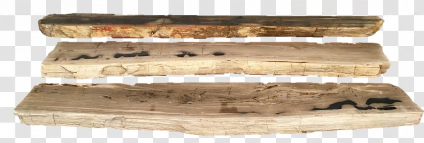 Petrified Wood Table Fireplace Mantel Shelf - Tables Transparent PNG