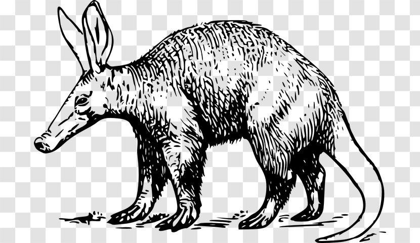 Aardvark Animal Figure - Anteater - Tail Snout Transparent PNG