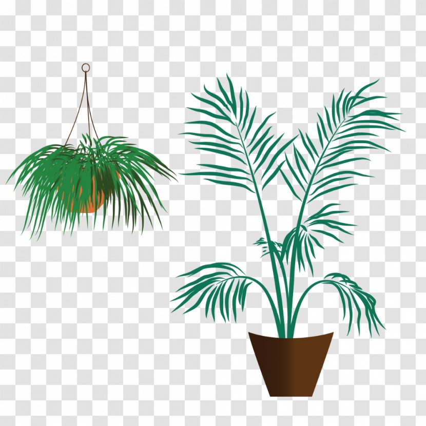 Arecaceae Flowerpot Grasses Houseplant Plant Stem - Arecales - Leaf Transparent PNG