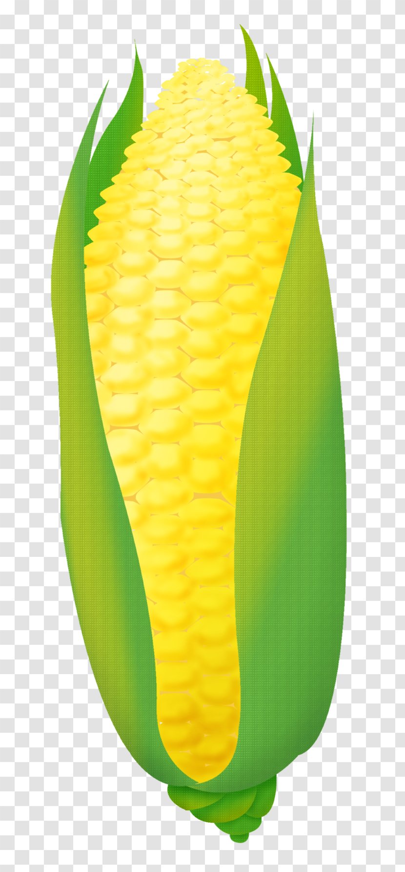 Corn On The Cob Naver Blog - Uniform Resource Locator - Address Transparent PNG