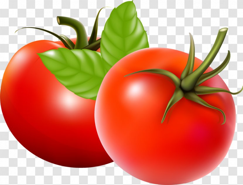 Tomato Juice Soup Vegetable - Food - Leaf Transparent PNG
