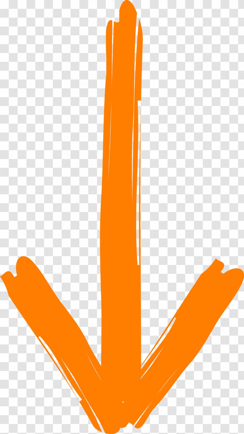 Arrow Folgepfeil Orange Clip Art - Architect - Pfeil Transparent PNG