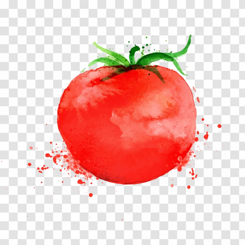 Pizza Parmigiana Tomato Soup - Stock Photography - Watercolor Tomatoes Transparent PNG