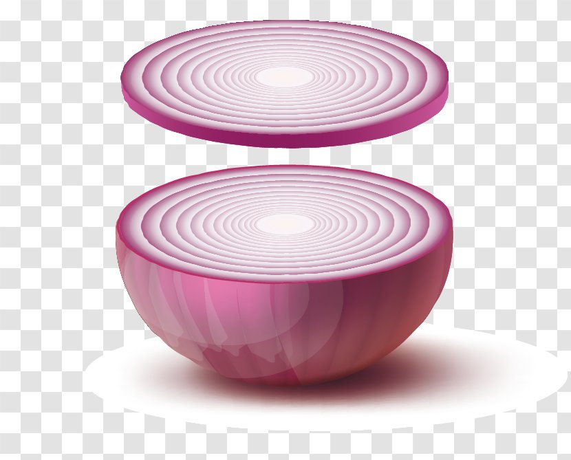 Purple Download Onion - Magenta - Vector Onions Transparent PNG