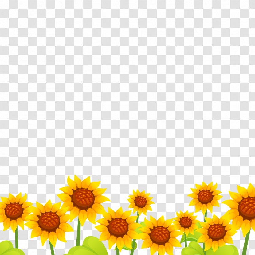 Sunflower Seed Marigolds Annual Plant M Sunflowers - Flowering - Ukrainian Unity Day Transparent PNG