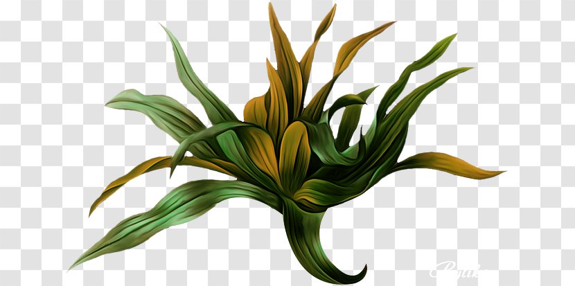 Choix Des Plus Belles Fleurs Botanical Illustration Botany Picturing Plants - Flower - Painting Transparent PNG