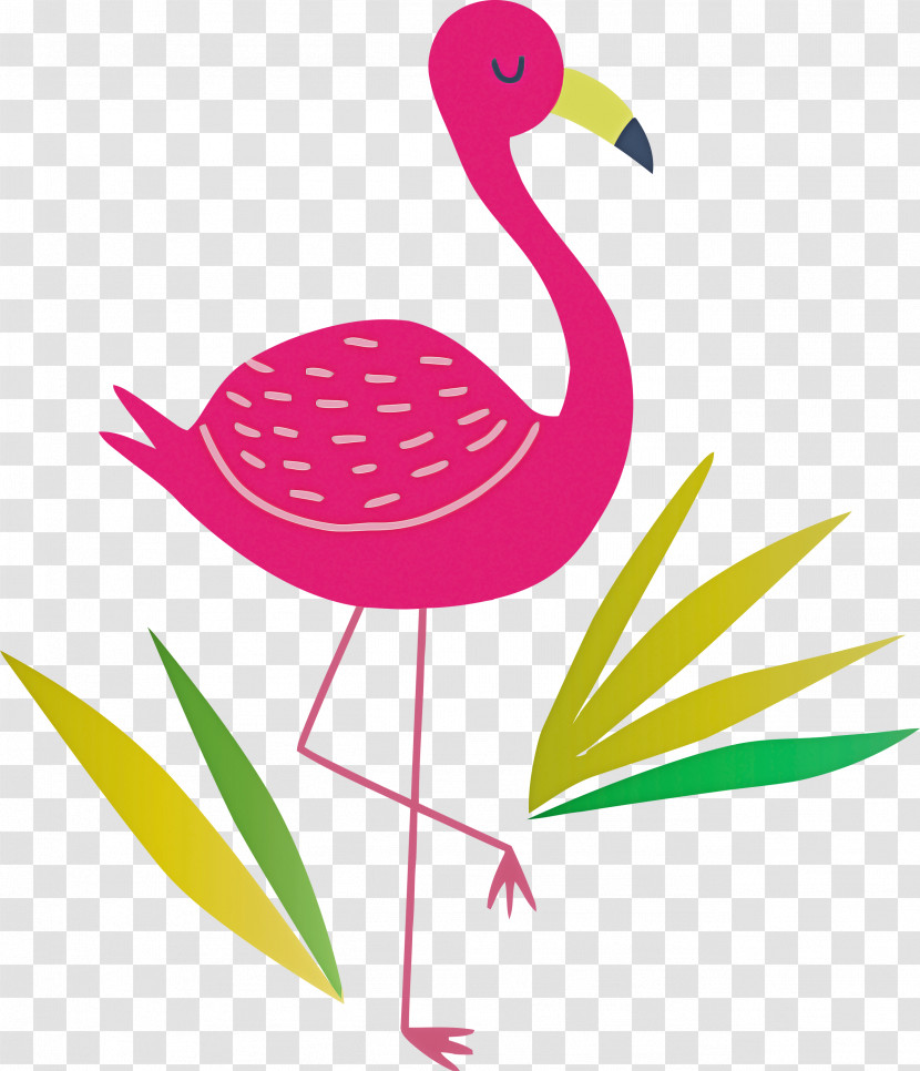 Flamingo Transparent PNG