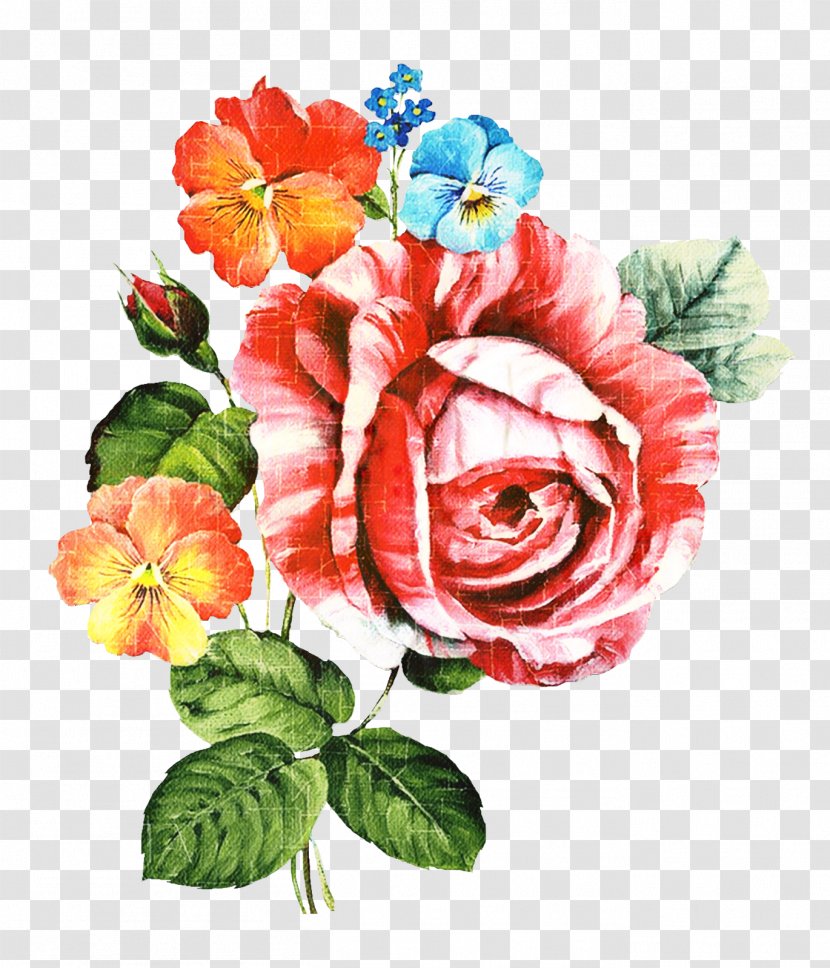T-shirt Garden Roses Floral Design Cut Flowers Online Shopping - Artikel - Pink Transparent PNG