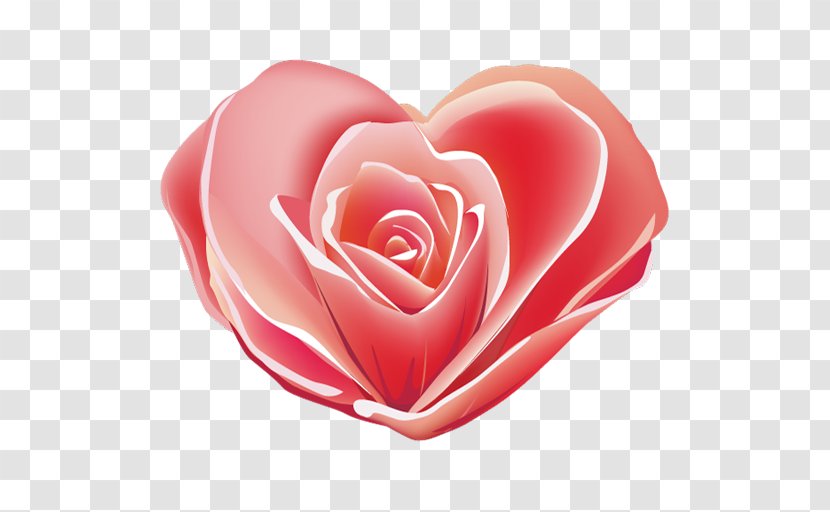 Rose Heart - Pink Flowers - Red Decorative Transparent PNG