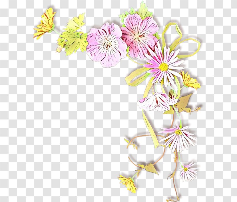 Floral Flower Background - African Corn Lilies - Cut Flowers Wildflower Transparent PNG