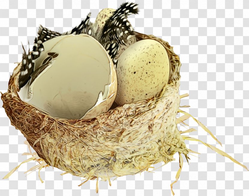 Egg Cartoon - Nest Transparent PNG