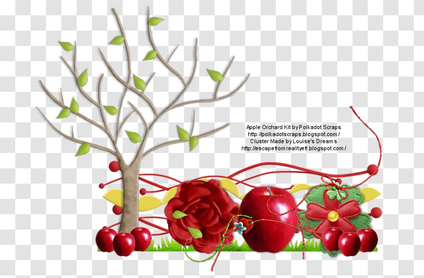 Trunk Peanut Clip Art - Game - Floristry Transparent PNG