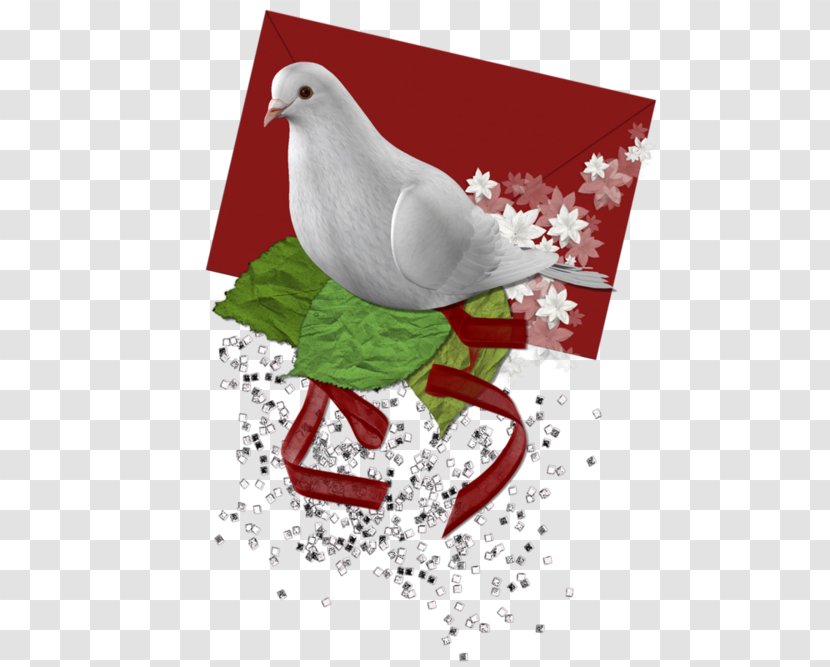 Beak Christmas Ornament Love Letter Clip Art - Bird Transparent PNG