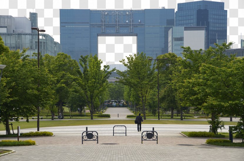 Odaiba Gratis Tokyo - Grass - Scenery Transparent PNG