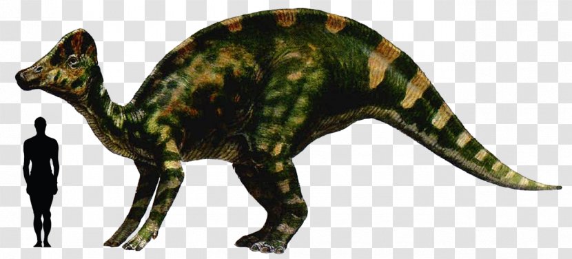 Hypacrosaurus Abelisaurus Riojasaurus Stegoceras Dinosaur - Fabrosaurus Transparent PNG