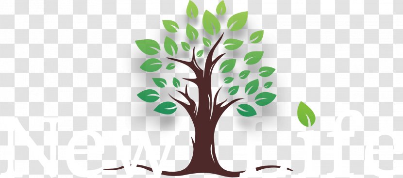 New Life Assembly-God Church South Barre 01074 Worcester Clip Art - Tree Transparent PNG