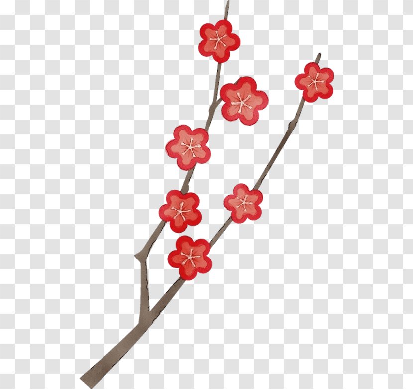 Cherry Blossom - Currant - Cut Flowers Viburnum Transparent PNG
