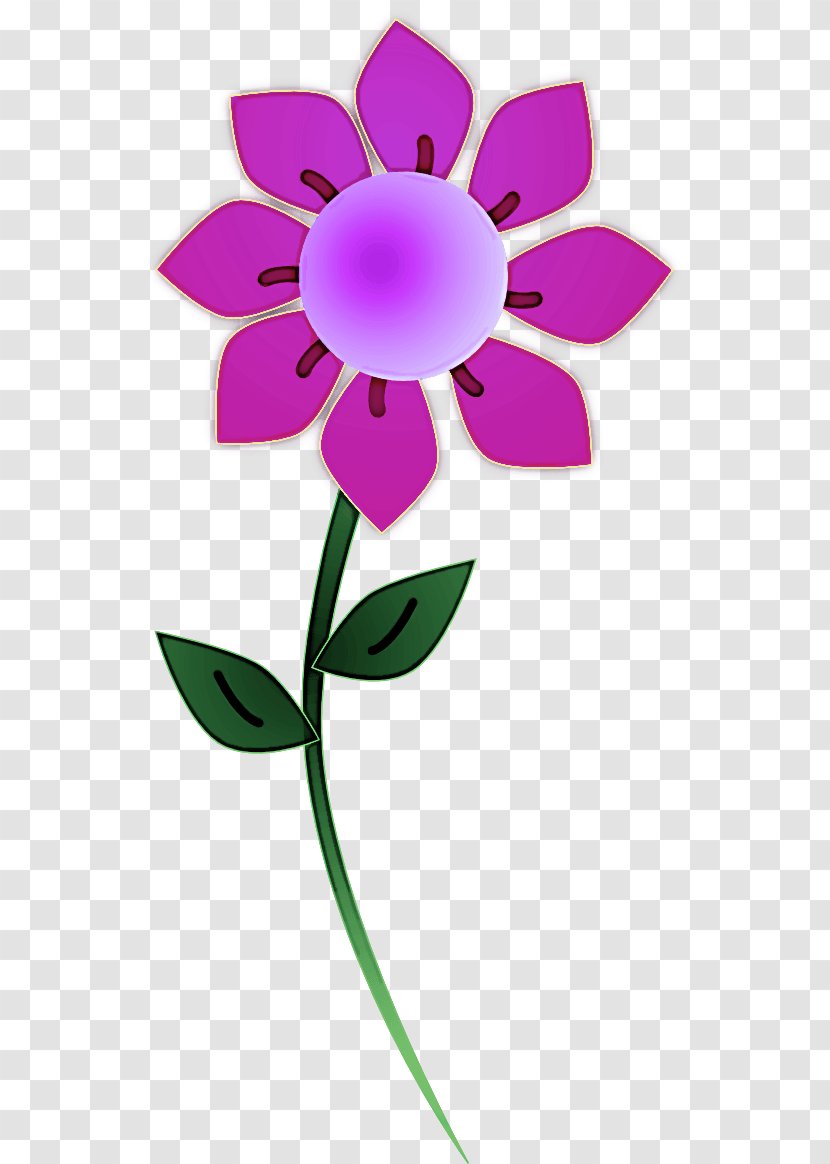 Flower Petal Violet Pink Purple - Plant - Flowering Pedicel Transparent PNG