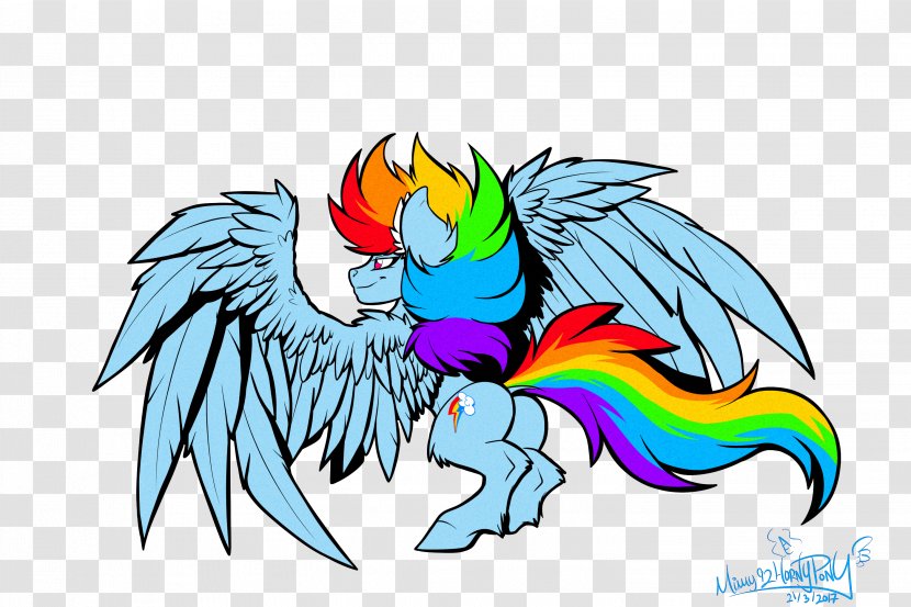 Rainbow Dash My Little Pony Macaw Transparent PNG