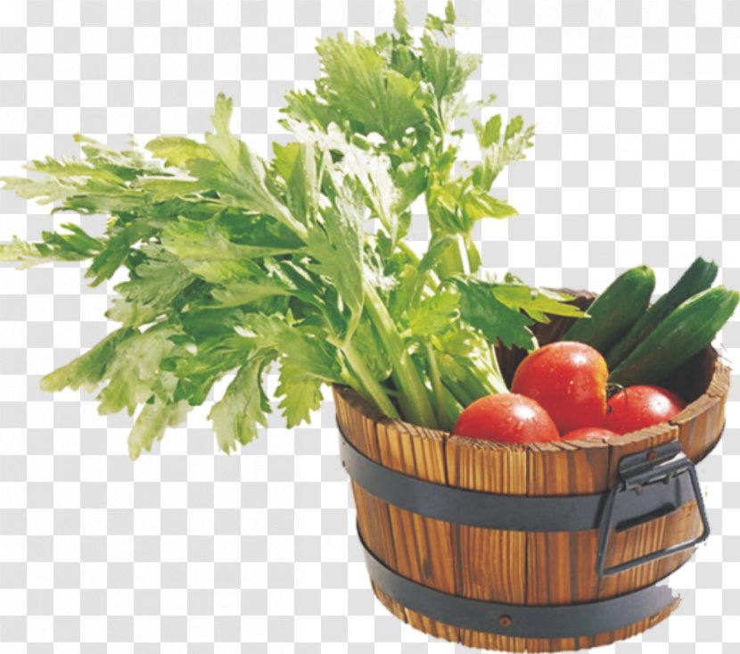 Tomato U4e0au706b Vegetable Cucumber - Pepino - A Pot Of Vegetables Transparent PNG