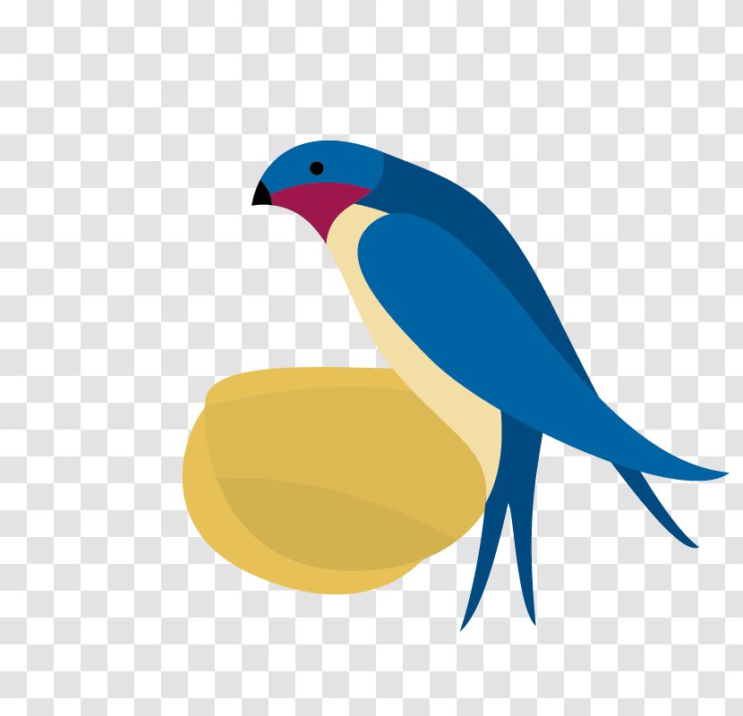 Swallow Vector Graphics Image Drawing - Perching Bird - Andorinha Cartoon Transparent PNG