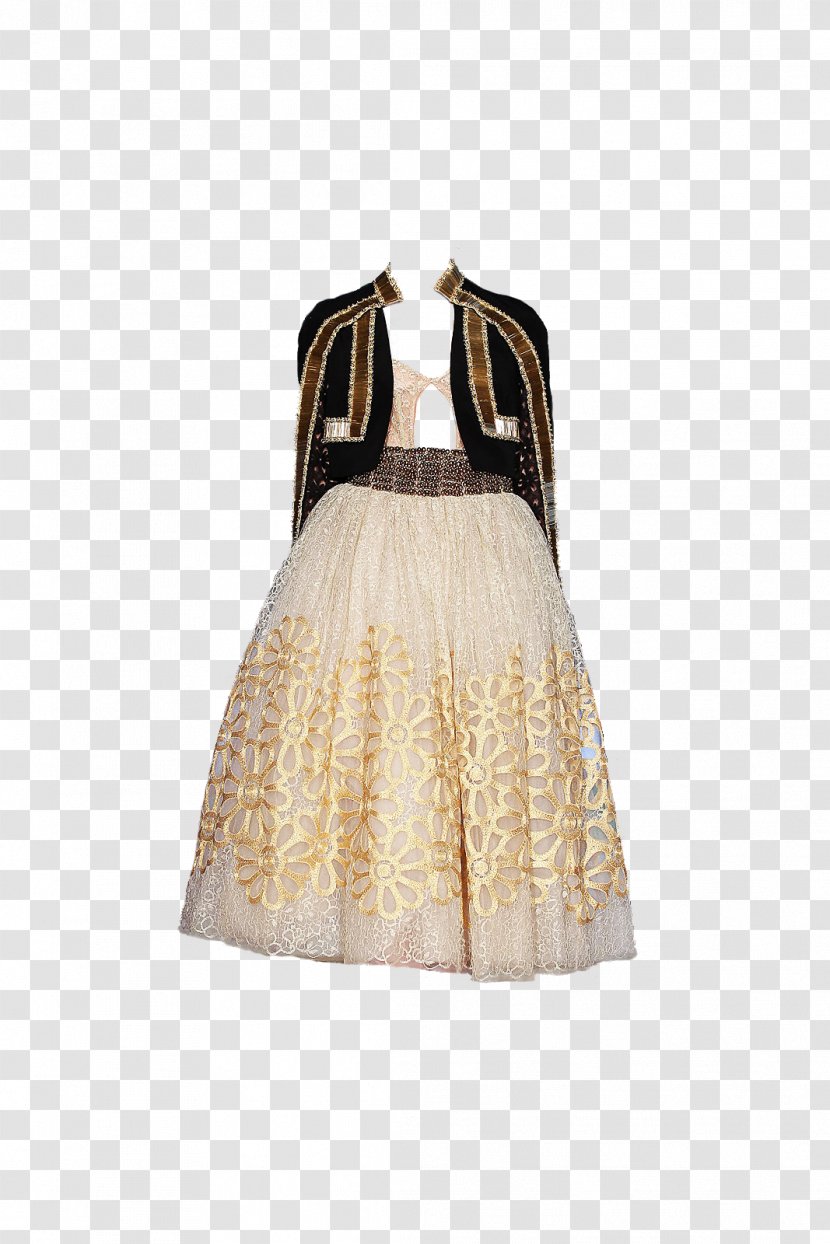 Cocktail Dress Skirt Transparent PNG