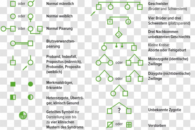Document Technology Family Tree Line Genealogy - Number Transparent PNG