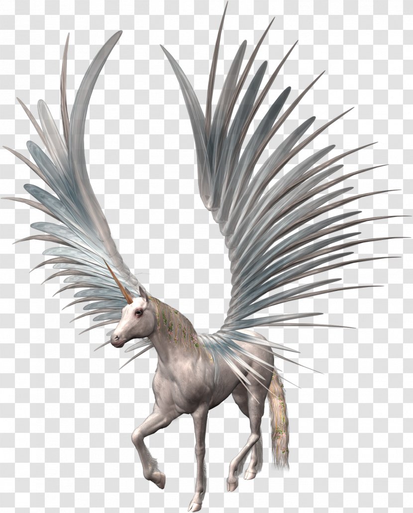 Unicorn Clip Art - Feather Transparent PNG