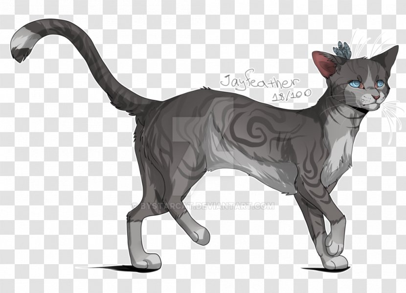 Domestic Short-haired Cat Devon Rex Oriental Shorthair Whiskers Warriors Transparent PNG