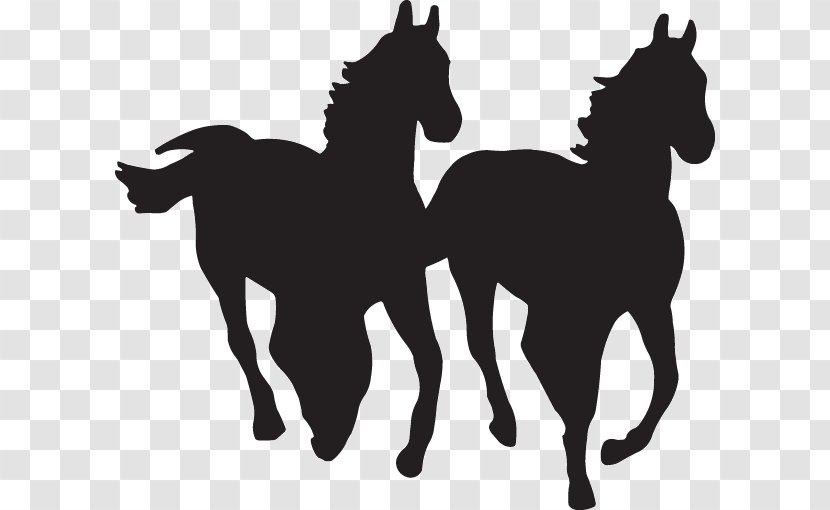Horse Silhouette Clip Art - Black And White Transparent PNG
