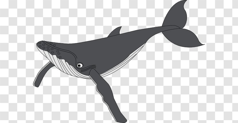 Humpback Whale Clip Art - Website - Shamu Cartoon Transparent PNG