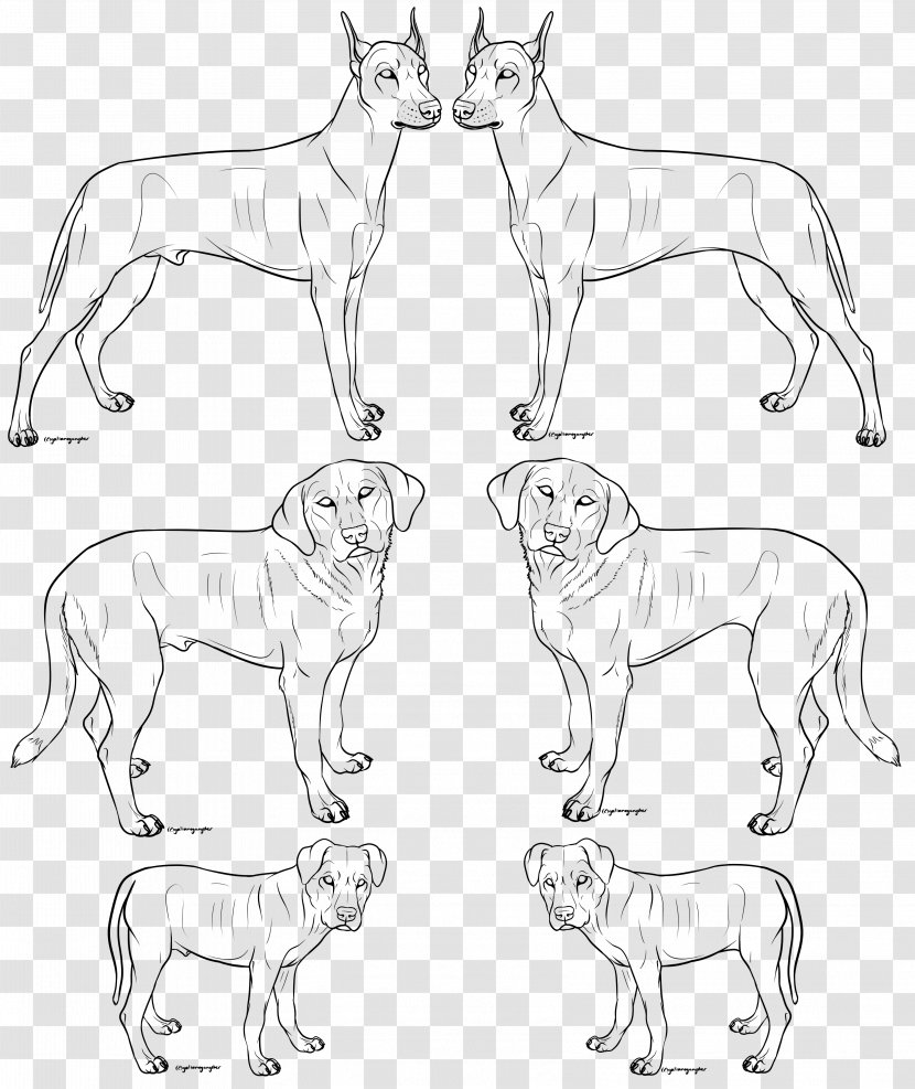 Dog Breed Lion Art Dobermann Sketch - Standing Transparent PNG