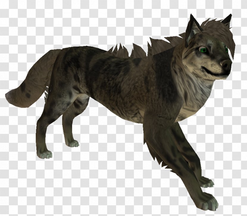 Gray Wolf Cat Fur Terrestrial Animal Tail - Mammal Transparent PNG