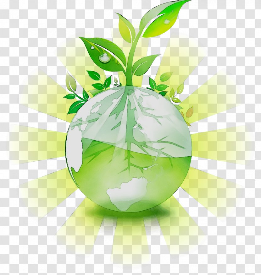 PeekYou Graphics Desktop Wallpaper Leaf Photograph - Green - Plant Transparent PNG