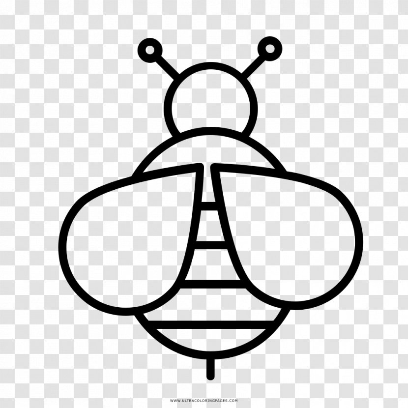 Bee Drawing Transparent PNG