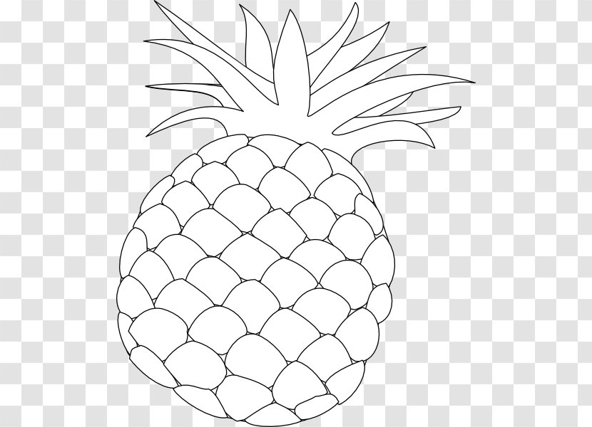 Pineapple Drawing Clip Art - Plant - Hawaii Vector Transparent PNG