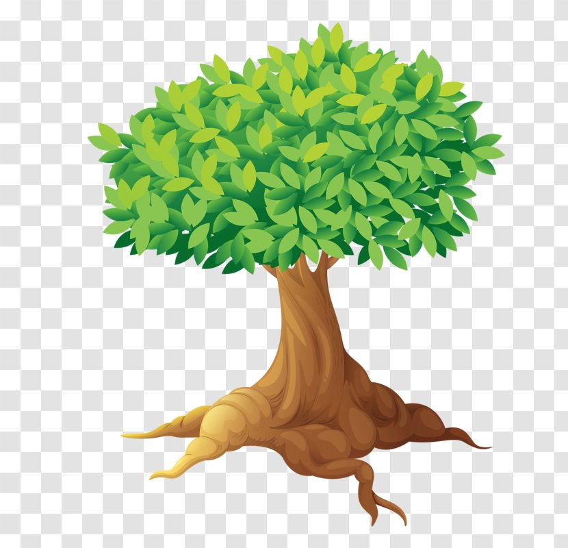 Dog Tree Clip Art - Organism - Sunday School Transparent PNG