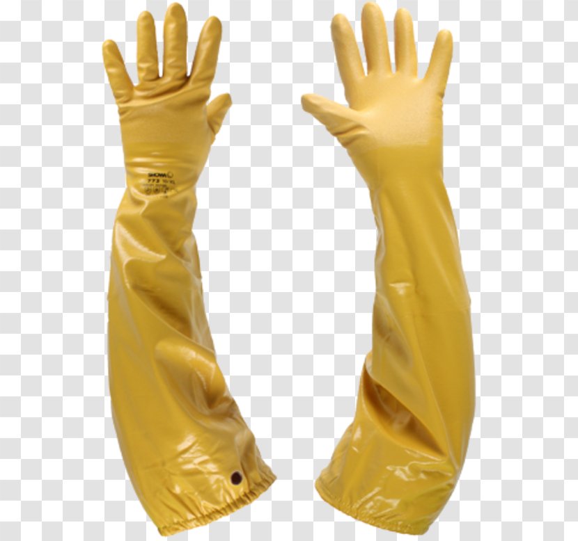 Rubber Glove Medical Natural Latex - Arm Warmers Sleeves - Canteen Brochure Transparent PNG