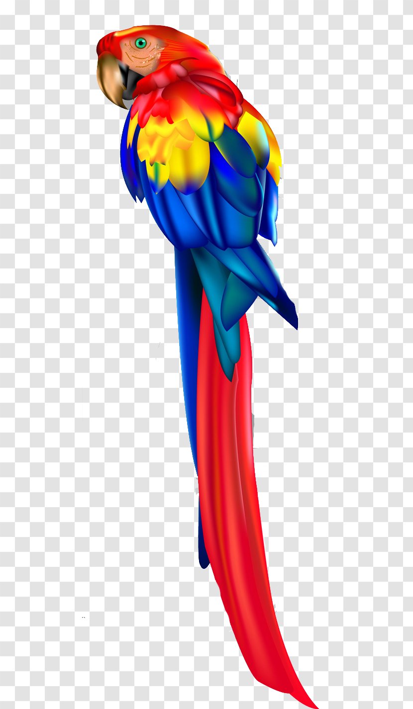 Bird Vexel Clip Art - Parrot - Macaw Vector Transparent PNG