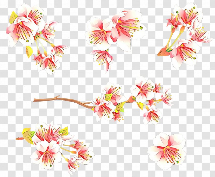 Cherry Blossom - Petal Transparent PNG