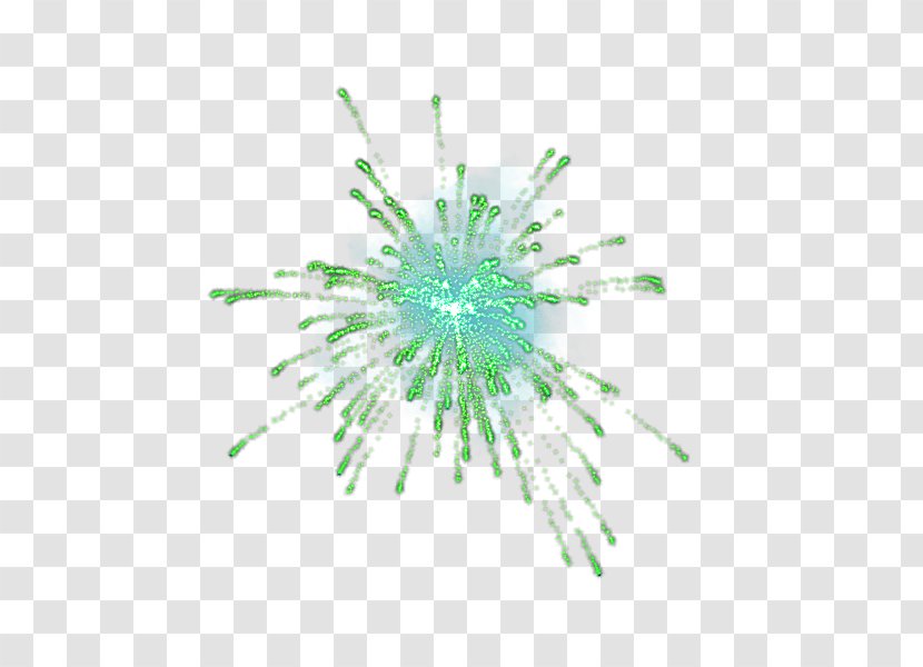 Vinnytsia Nursery School Green Photography Color Scheme - Fireworks - Organism Transparent PNG